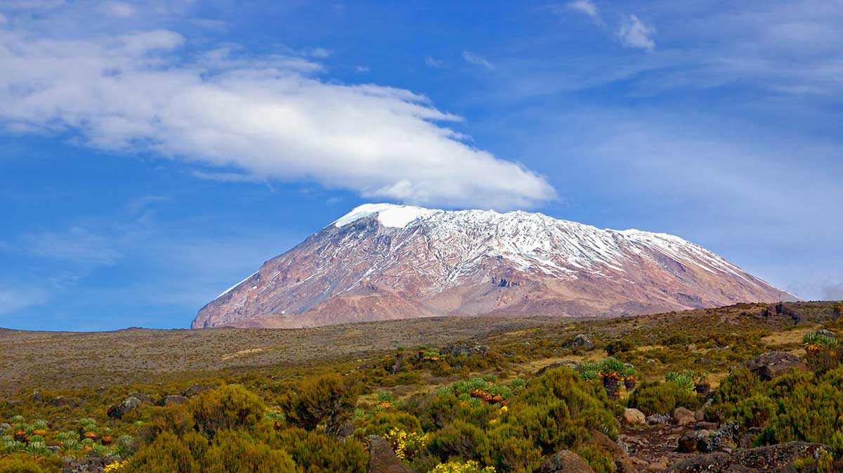 Ледник горы Килиманджаро