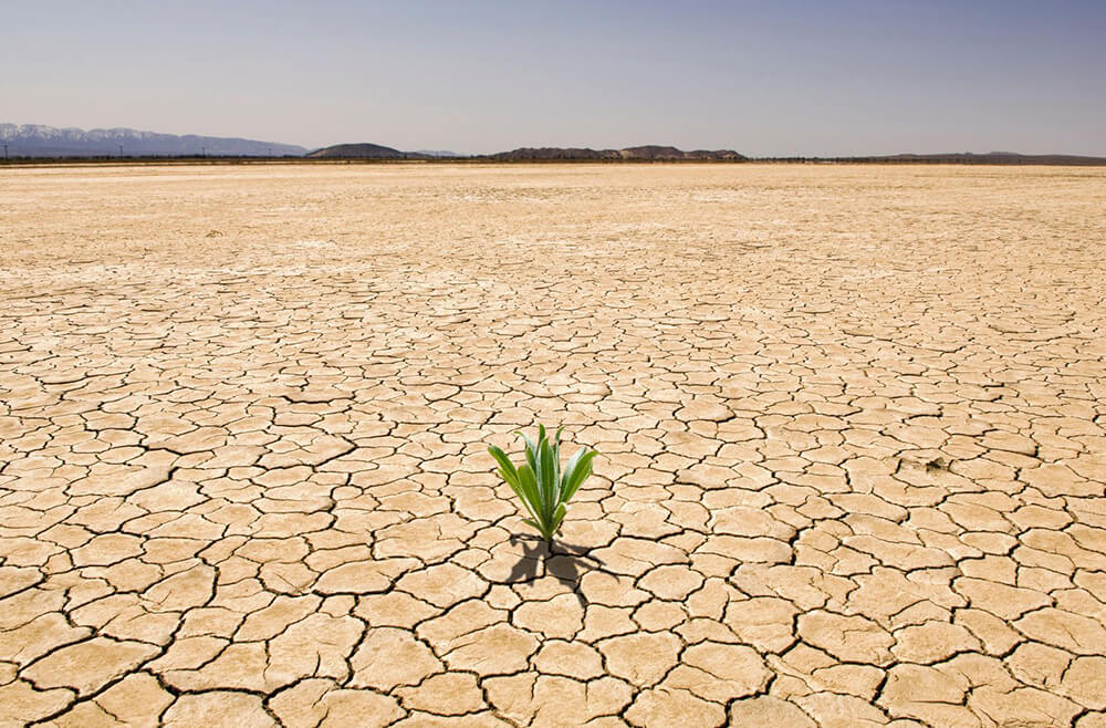засуха - это последствие глобального потепления