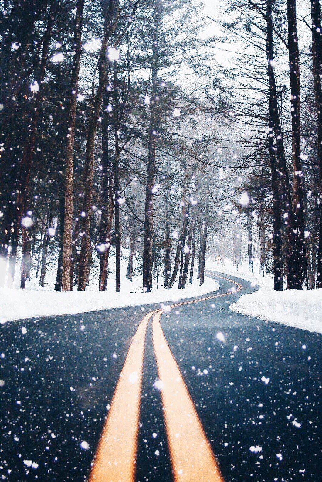 дорога зимой