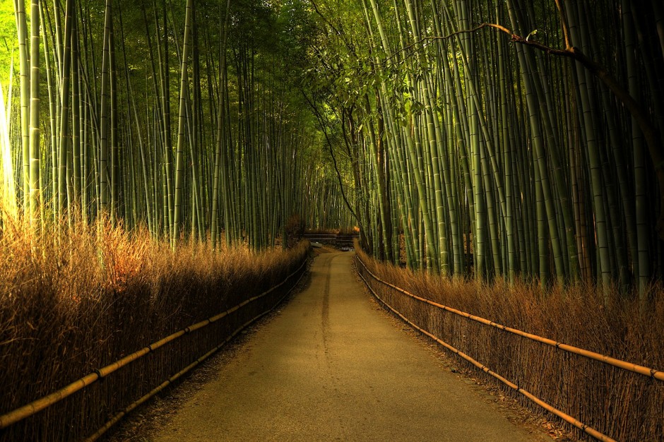 Sagano-Bamboo-Forest-Japan1