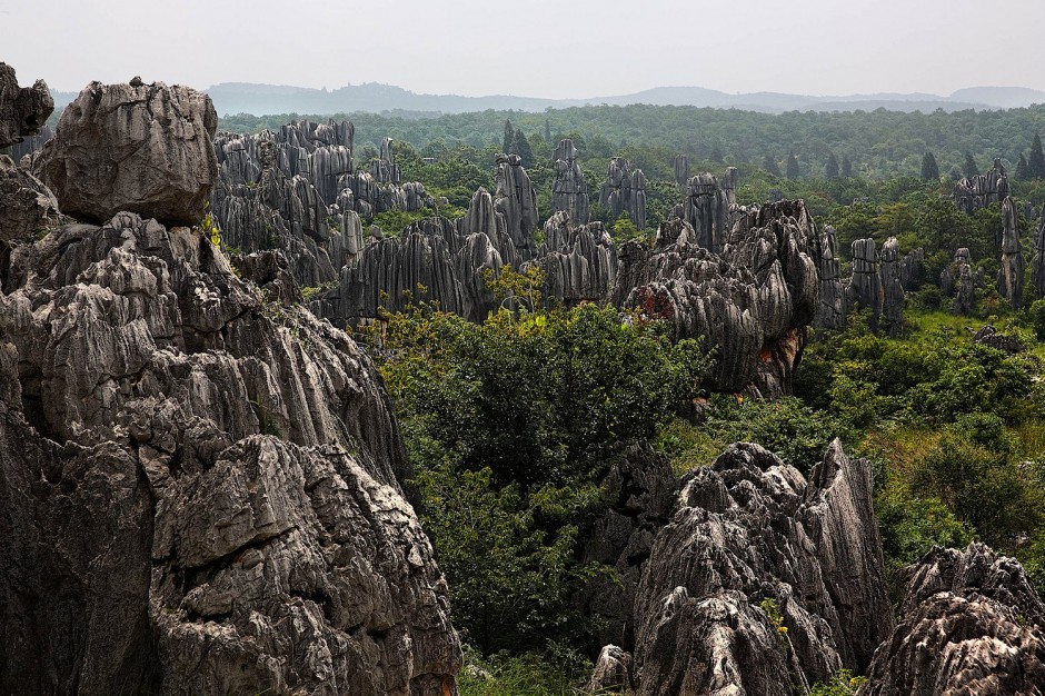 Stone-Forest-China10