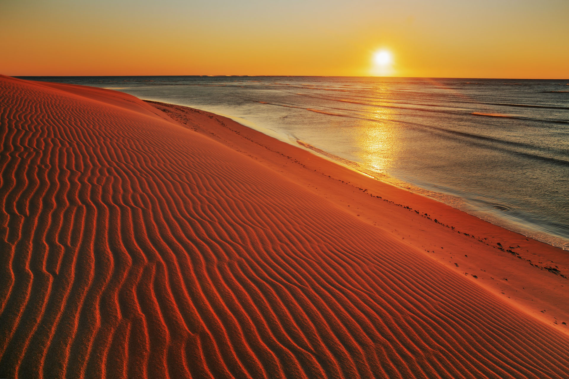 Dune landscape and ocean