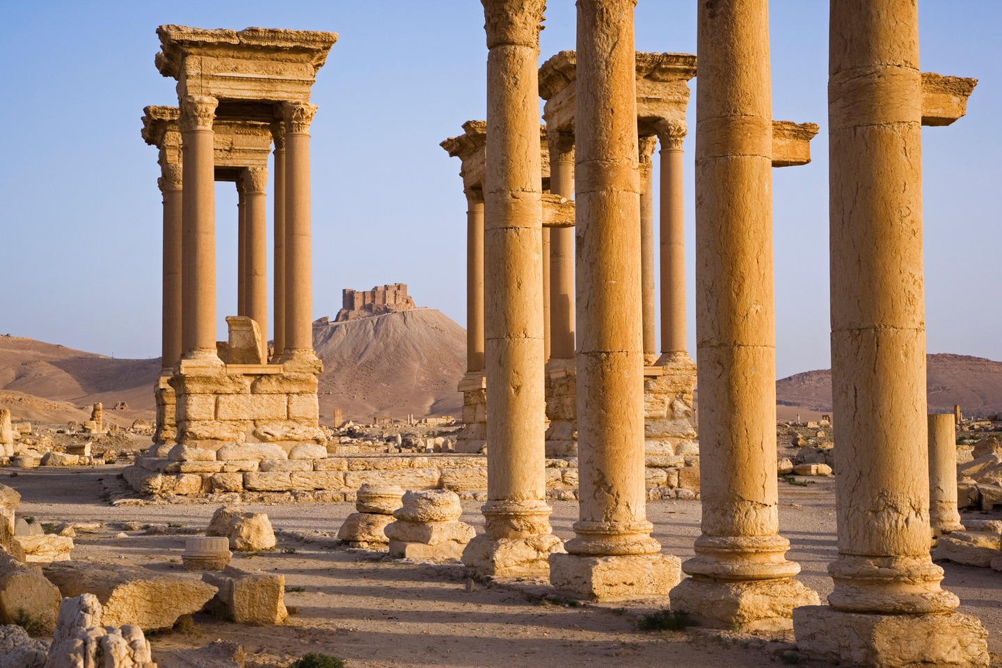 Palmyra6