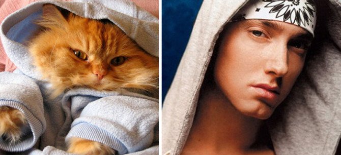 10-incredible-cats-that-look-like-famous-people-1-670x306