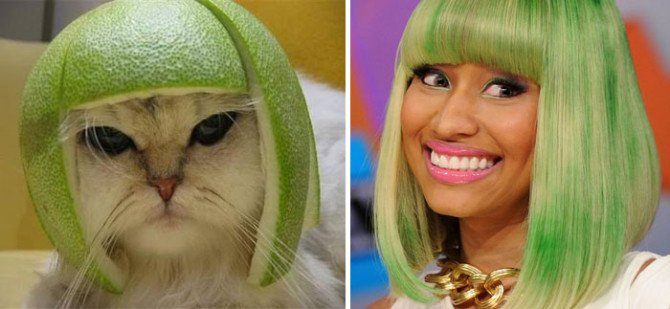 10-incredible-cats-that-look-like-famous-people-7-670x309