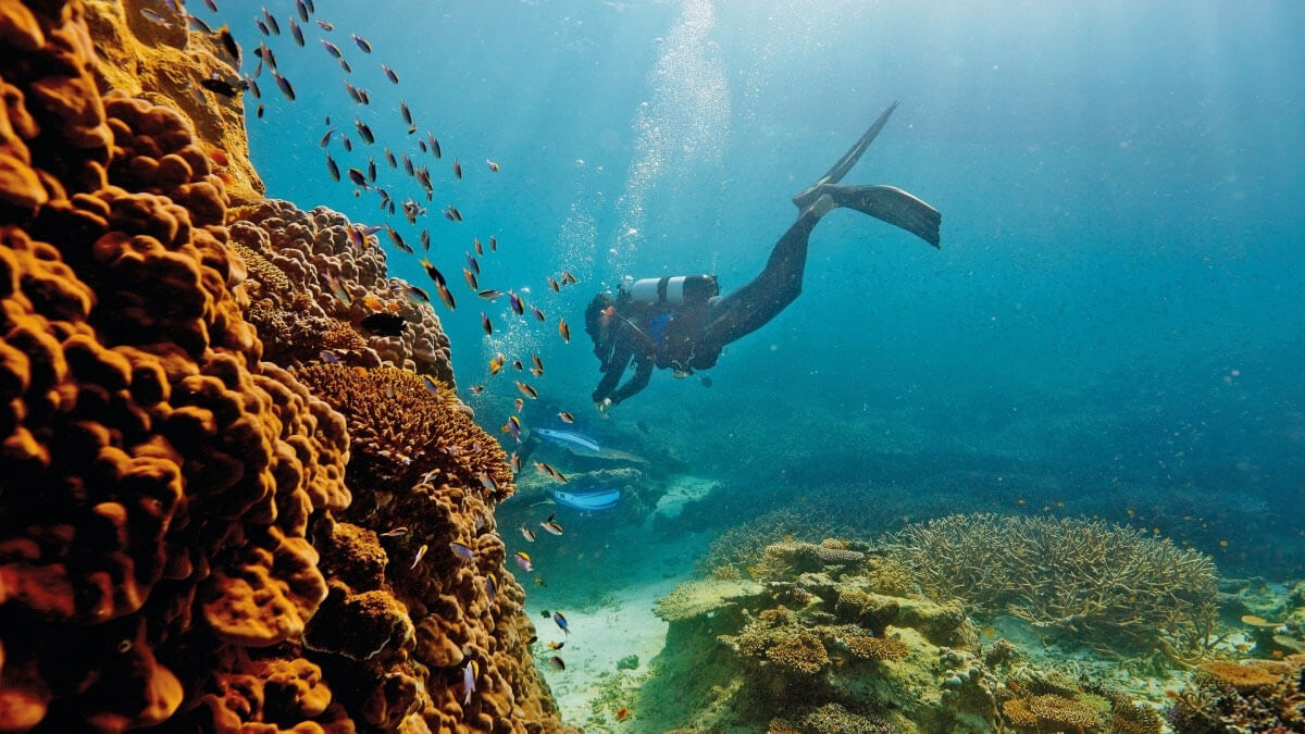 Части мира: Большой Барьерный Риф, Австралия