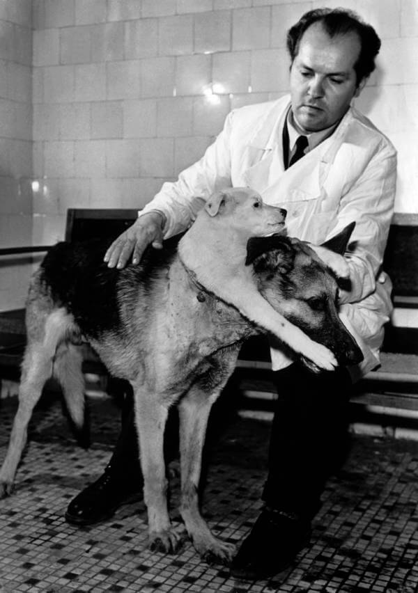 Владимир Демихов и двухголовая собака