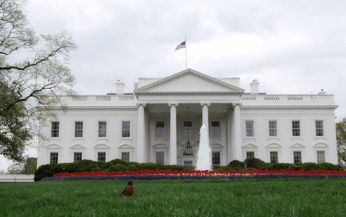 Знаменитые здания: Белый дом в Вашингтоне