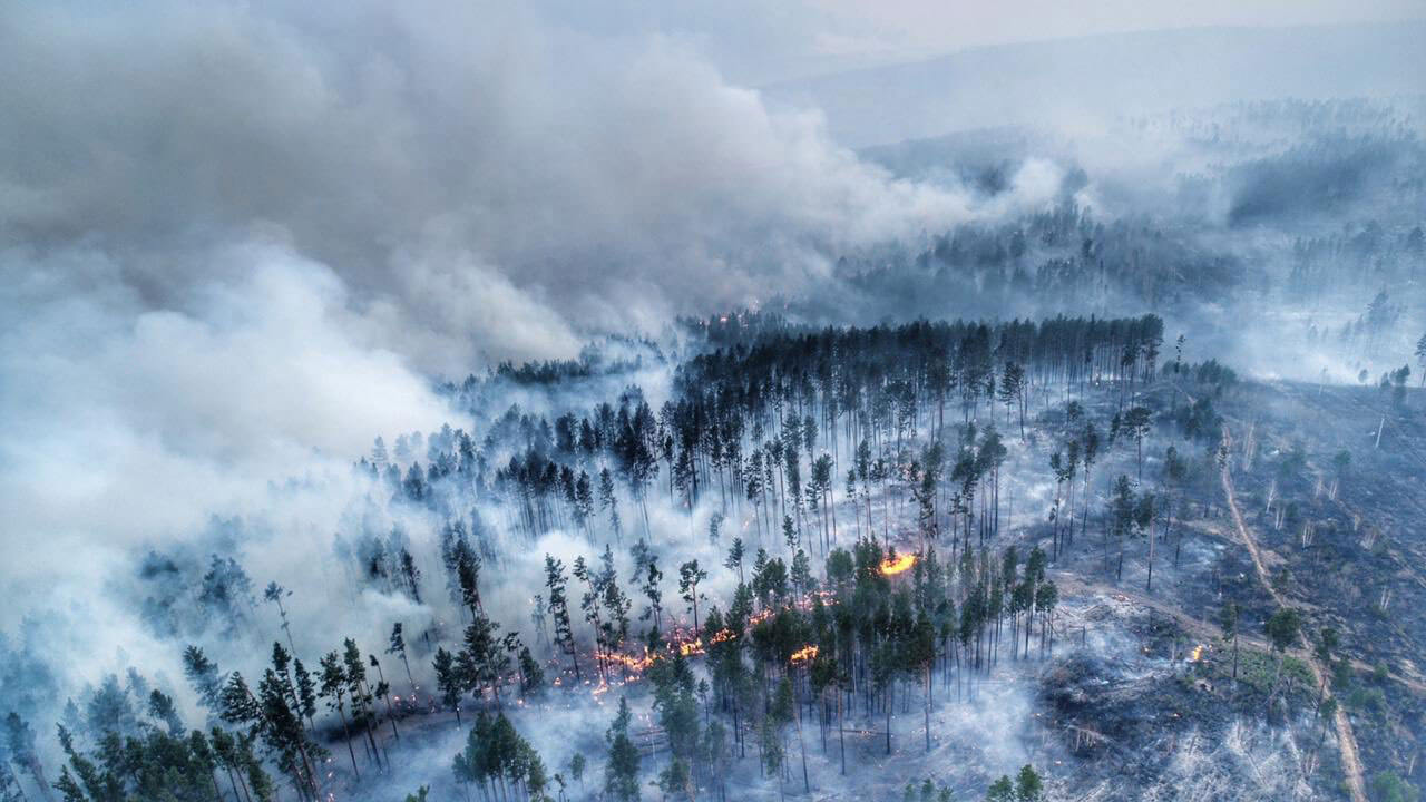 Фотография пожара в Сибири