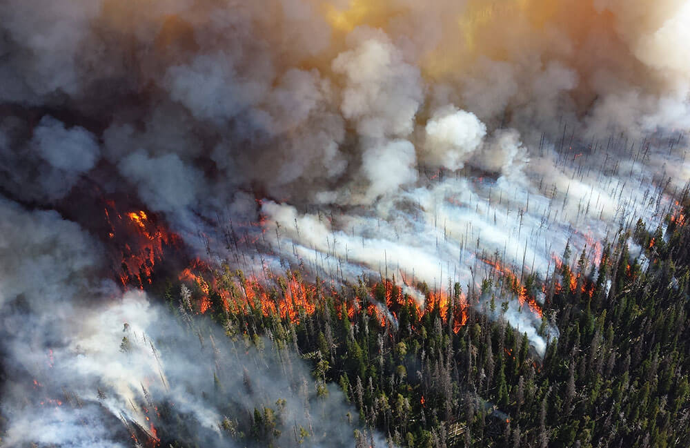 стихийные бедствия: пожары в сибири