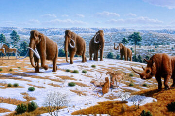 животные эпохи Плиоцен